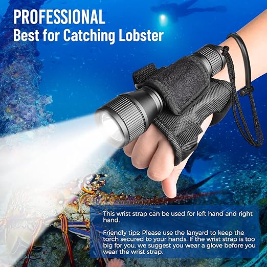 ORCATORCH D550 Dive Light 1000 Lumens Scuba Safety Torch XM-L2 LED Submarine Flashlight with 3400mAh Battery, Charger, Wrist Strap, Lanyard, Waterproof O-Rings